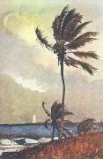 Winslow Homer Palm Tree, Nassau France oil painting reproduction